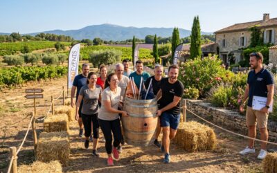Organiser un Team Building en Provence : Misez sur le Vaucluse pour fédérer vos équipes